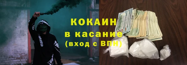 стаф Бородино