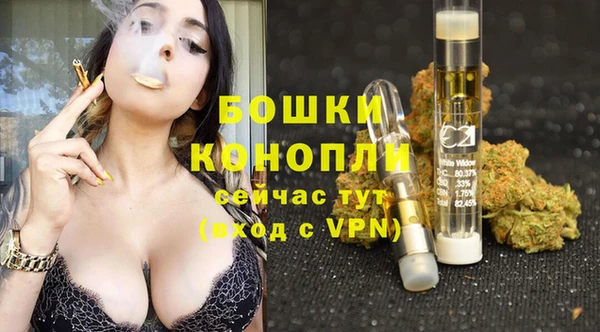 стаф Бородино