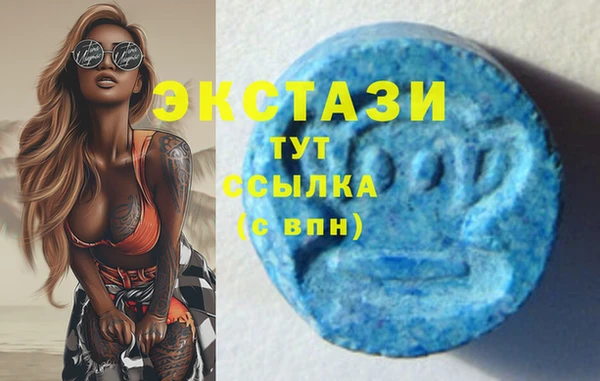 стаф Бородино