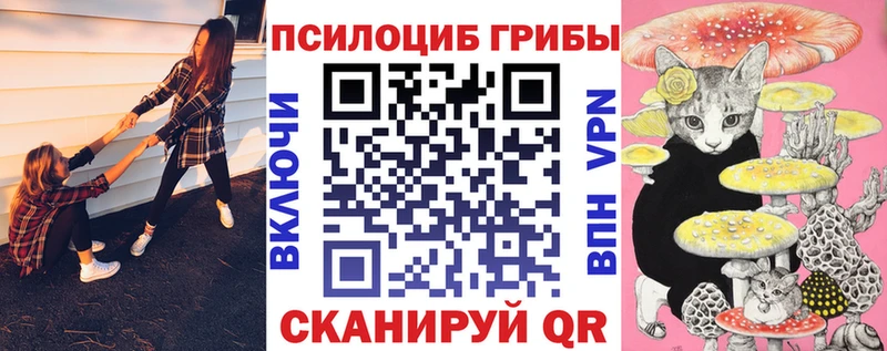 Псилоцибиновые грибы ЛСД Заозёрск